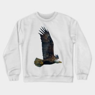 EAGLE Crewneck Sweatshirt